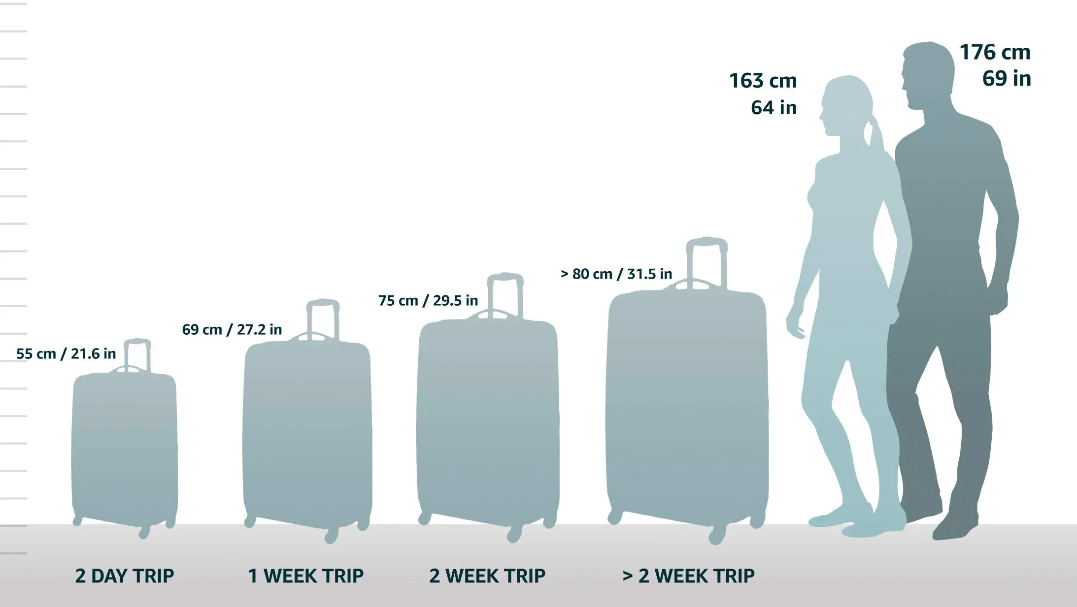 DELSEY Paris Helium Aero 21" 4-Wheel Carry-On Luggage