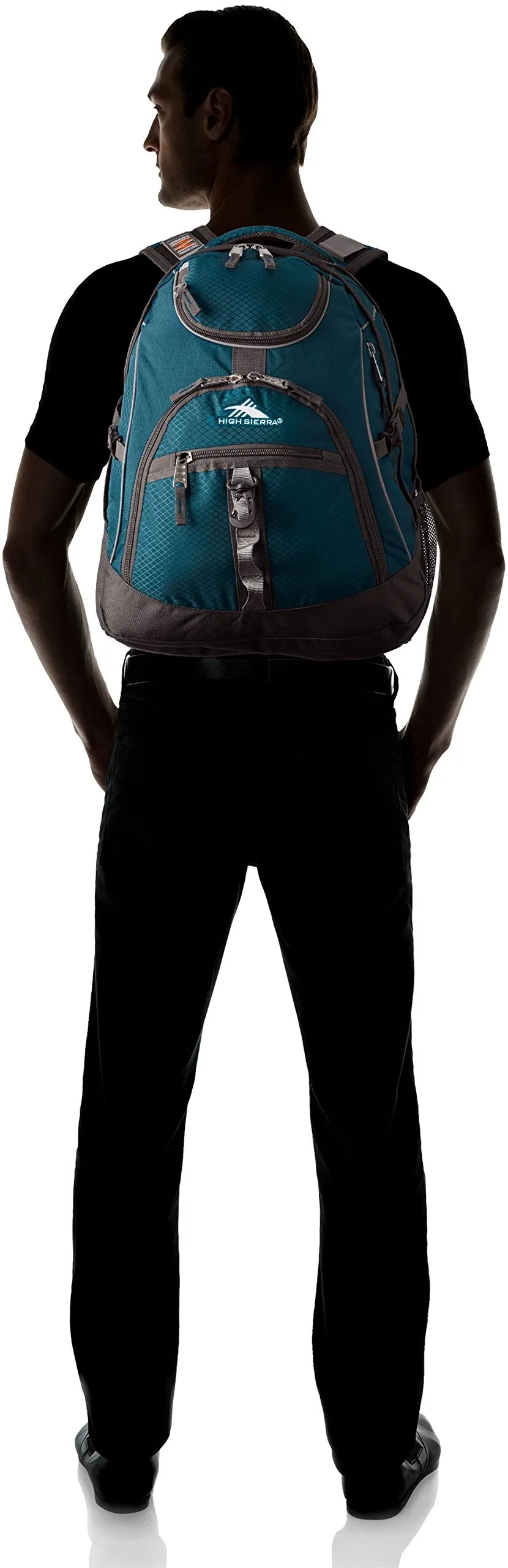 High Sierra Access Backpack
