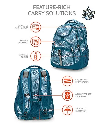High Sierra Access Backpack