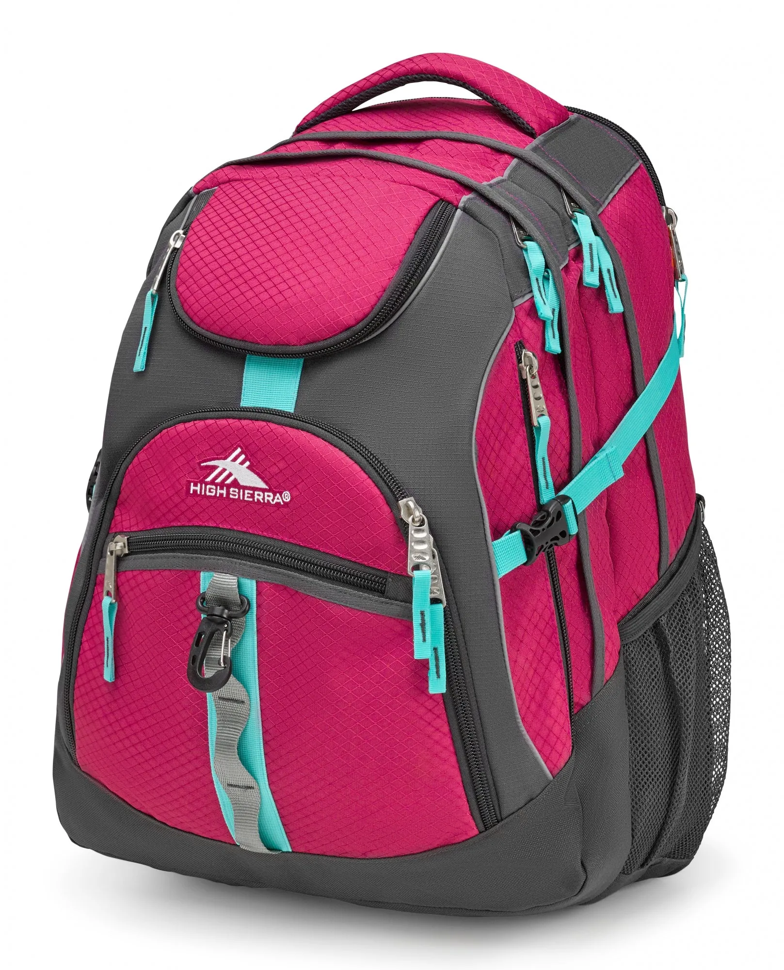 High Sierra Access Backpack