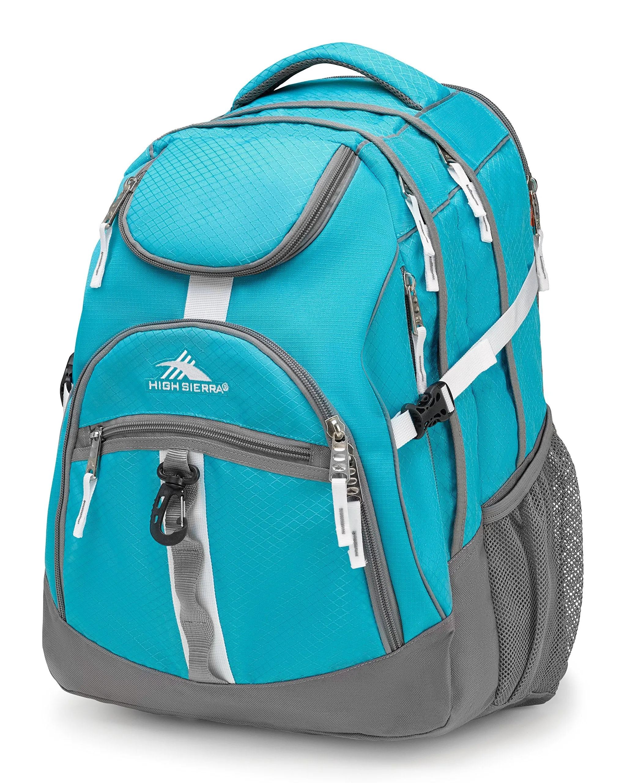 High Sierra Access Backpack