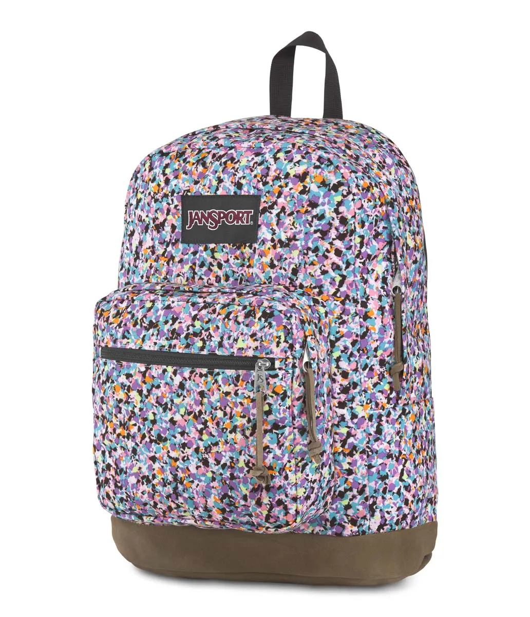 JanSport Originals Right Pack Expressions
