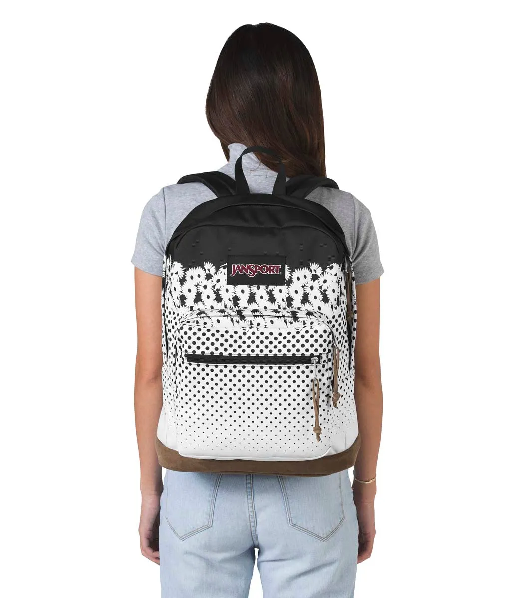 JanSport Originals Right Pack Expressions