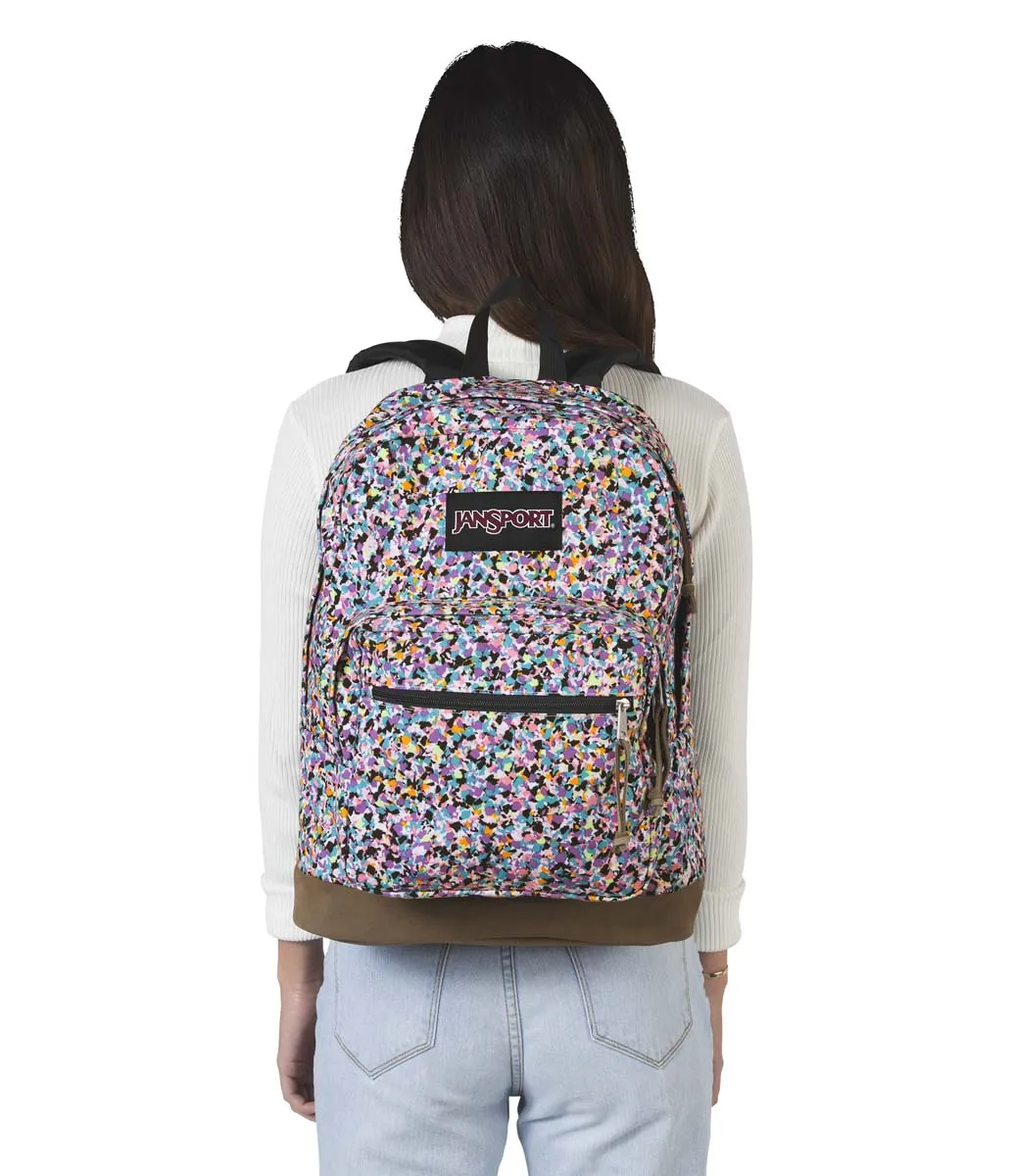 JanSport Originals Right Pack Expressions