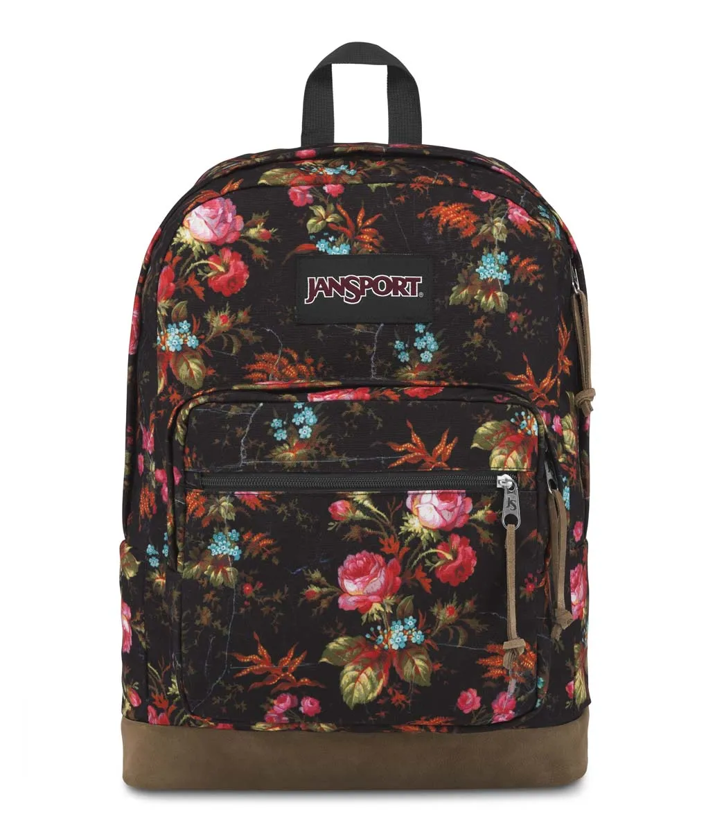 JanSport Originals Right Pack Expressions