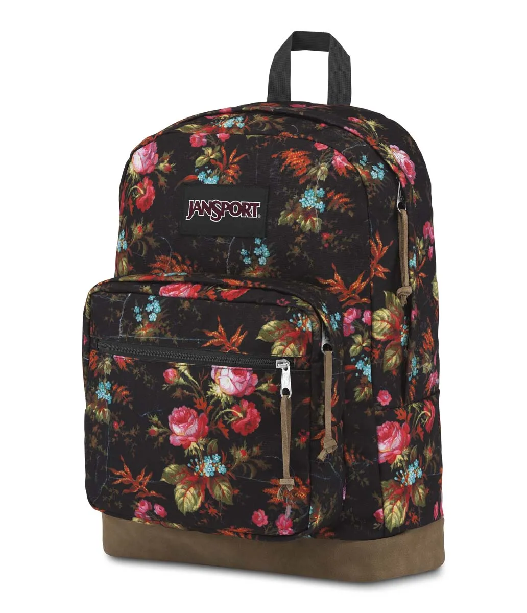 JanSport Originals Right Pack Expressions
