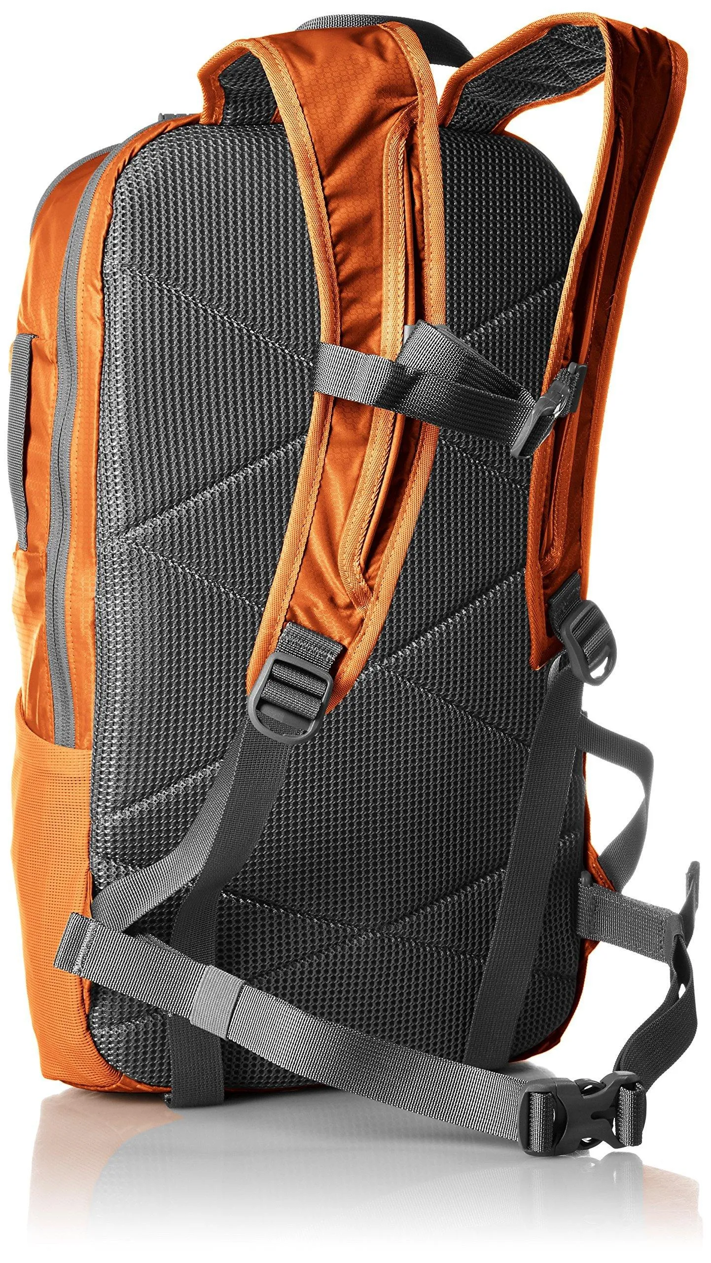 Timbuk2 Especial Raider Backpack