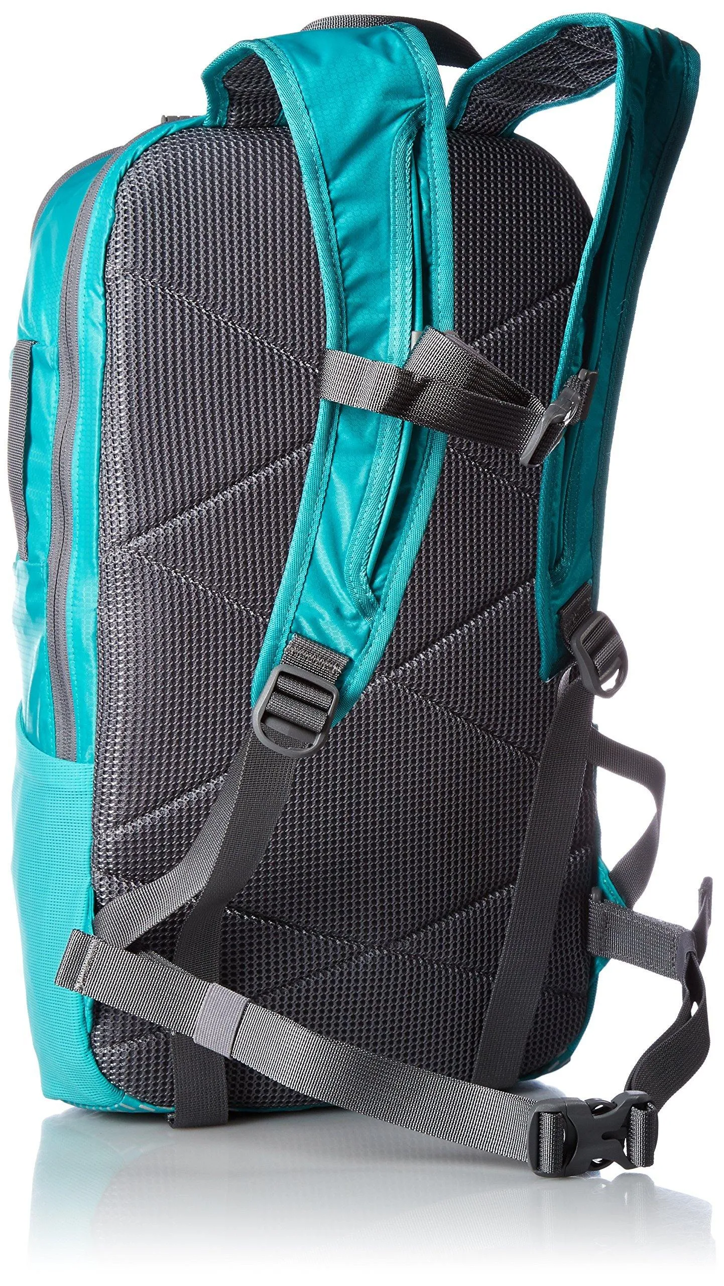 Timbuk2 Especial Raider Backpack